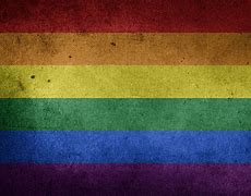 Image result for Pepsi Edición LGBT