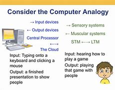 Image result for Computer Analogy