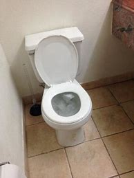 Image result for Overflowing Toilet Pic