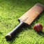 Image result for Cricket Wallpaper 1024X768