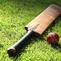 Image result for Cricket Bat Sport