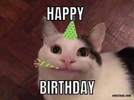 Image result for Happy Birthday Cat Meme Funny