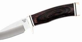 Image result for Best Gutting and Skinning Knife