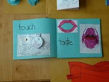 Image result for 5 Senses Preschool Theme Books