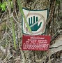 Image result for Manchineel Tree Range Map