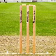 Image result for Cricket Tools