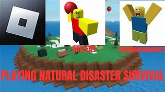 Image result for NDS Roblox