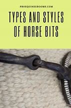 Image result for Types of Horse Bits List