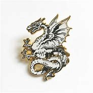 Image result for Aeshowe Dragon Pin