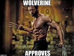 Image result for Wolverine Photo Meme Templat
