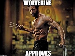 Image result for Wolverine Photo Meme Template