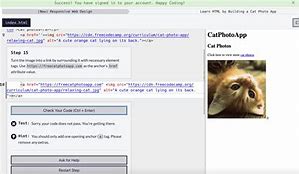 Image result for Cat Photo App Step 5