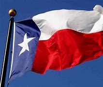 Image result for Texas Flag Cota