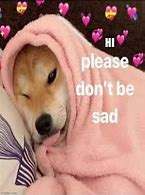 Image result for Wholesome Doggo Memes