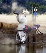 Image result for Crazy Horse Jumping