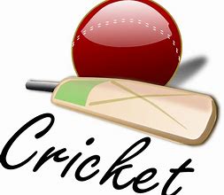 Image result for Word Art On a Cricket Bat