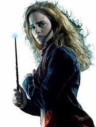 Image result for Harry Ron and Hermione PNG