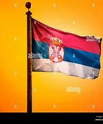 Image result for Serbian Flag Today