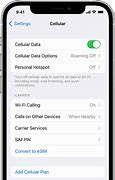 Image result for Where to Find Cellular Data On iPhone