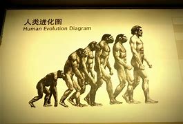 Image result for Evolution Theory Background