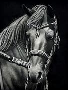 Image result for Cros Country Horse Drawing
