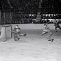 Image result for Toronto Maple Leafs Hockey Team