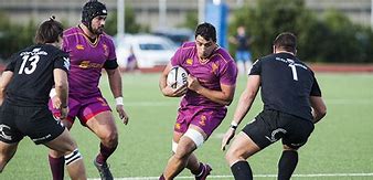 Image result for fiamme_oro_rugby