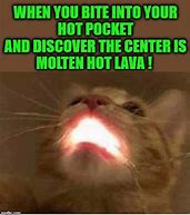 Image result for Cat vs Lava Meme