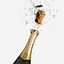 Image result for Champagne Photos Free