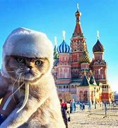 Image result for Funny Russian Animals