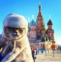 Image result for Russian Cat Funny
