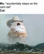 Image result for Cat Meme Clip Art Human