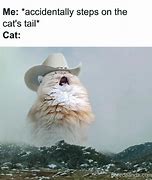 Image result for Spinning Cat Meme