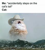 Image result for Cat Meme Template Hilarious
