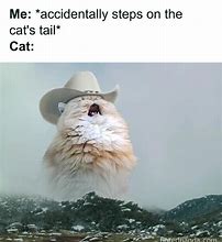 Image result for Cat Meme Original