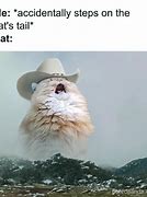 Image result for It Cat Meme