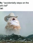 Image result for Heading East Cat Meme