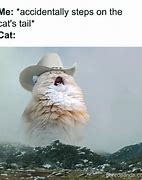 Image result for Cat Meme What Happens Next