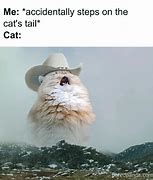 Image result for Cute and Funny Cat Memes