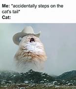 Image result for Trending Cat Meme