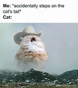 Image result for Brown Cat Meme