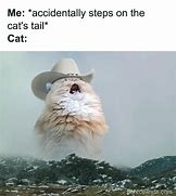 Image result for U Good Cat Meme