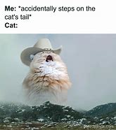 Image result for What's the Cat Stand Meme Called