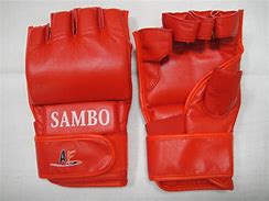 Image result for Combat Sambo Gloves