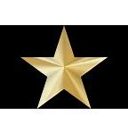 Image result for You Tried Gold Star Meme