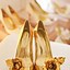 Image result for Gold Shoes