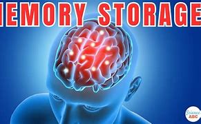 Image result for Brain Memory Storage