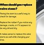 Image result for Spring From Tire Valve