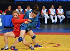 Image result for Sambo Fighting Style