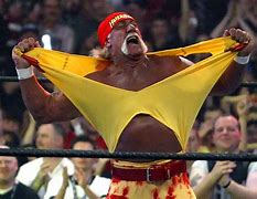 Image result for Hulk Hogan Wrestler